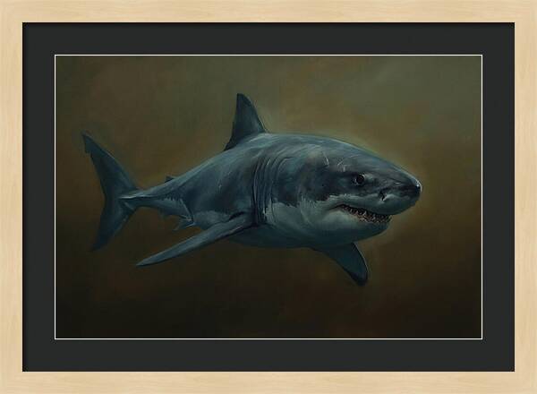 Majestic Shark In Motion