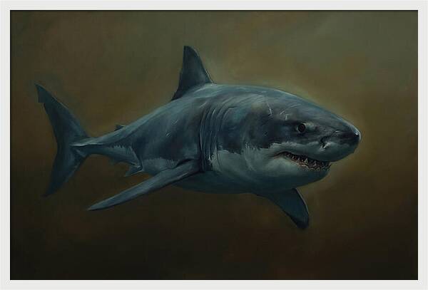 Majestic Shark In Motion