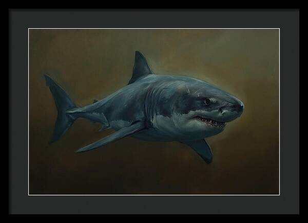 Majestic Shark In Motion