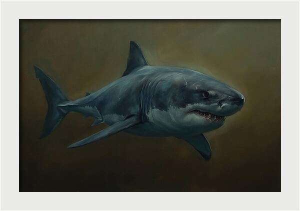 Majestic Shark In Motion