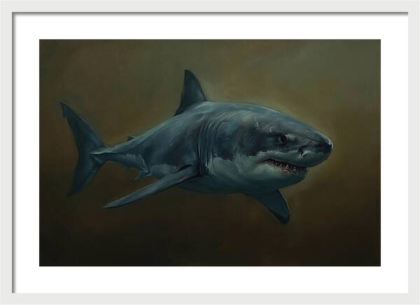 Majestic Shark In Motion