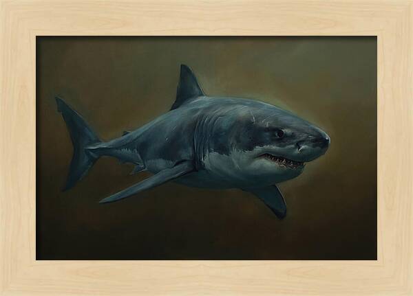 Majestic Shark In Motion