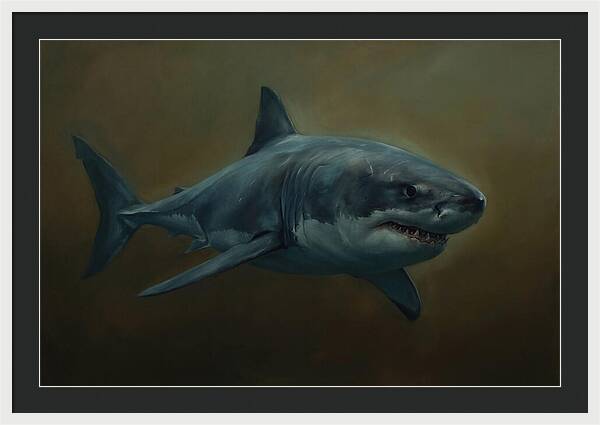 Majestic Shark In Motion