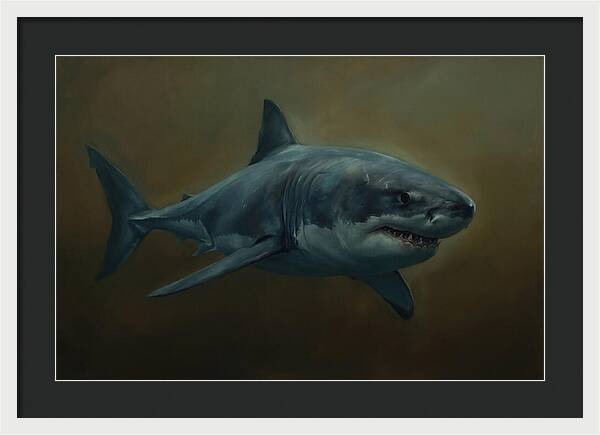 Majestic Shark In Motion