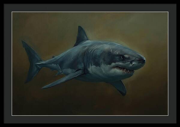 Majestic Shark In Motion