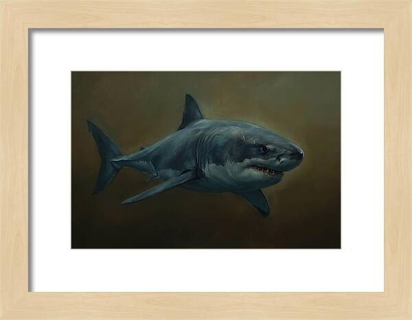 Majestic Shark In Motion