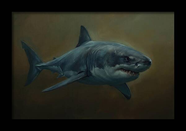 Majestic Shark In Motion
