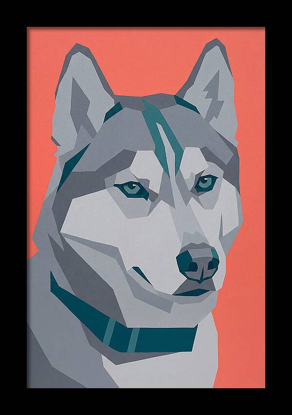 Majestic Siberian Husky Closeup
