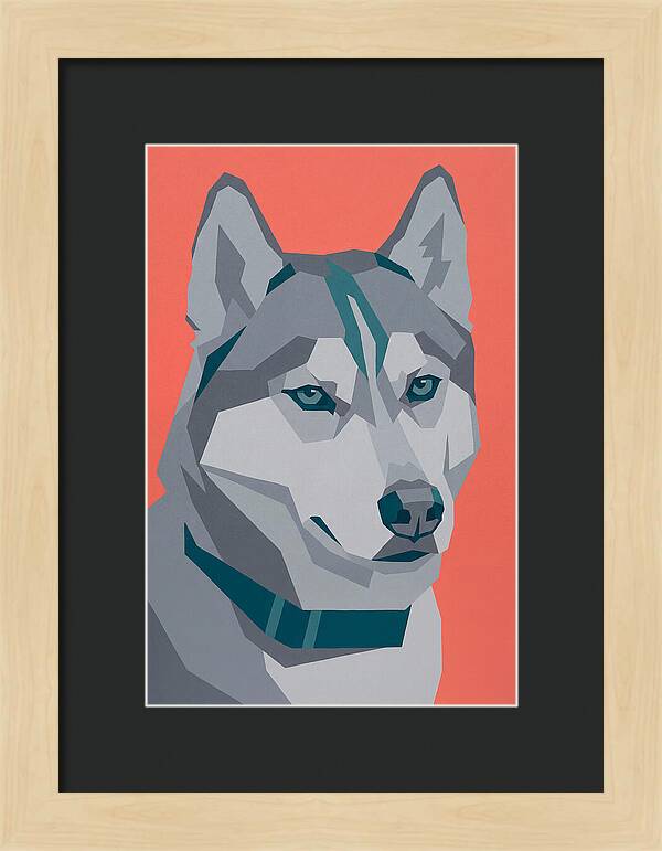 Majestic Siberian Husky Closeup