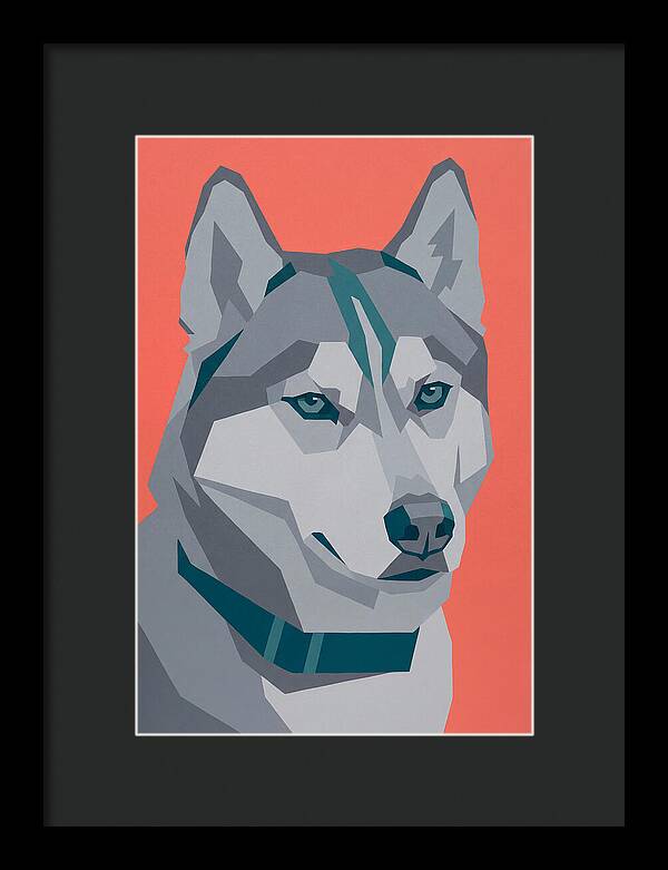Majestic Siberian Husky Closeup