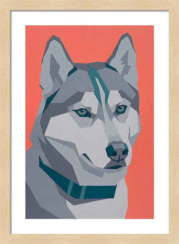 Majestic Siberian Husky Closeup