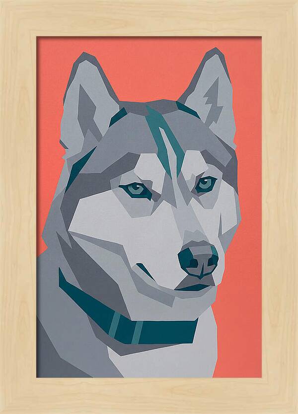 Majestic Siberian Husky Closeup