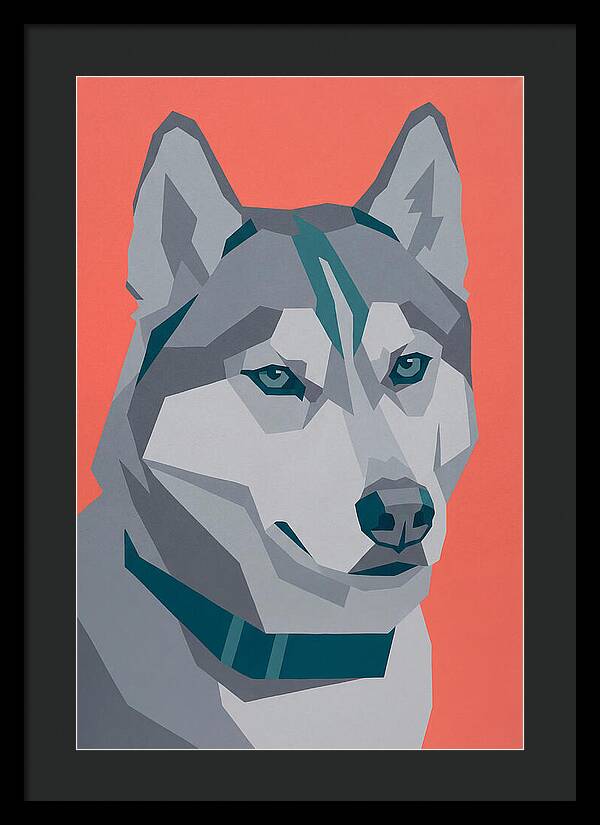 Majestic Siberian Husky Closeup