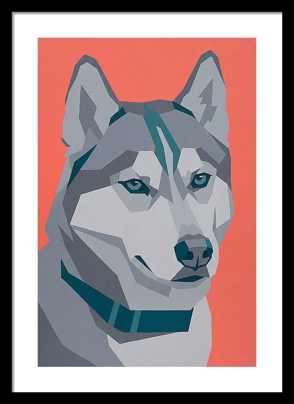 Majestic Siberian Husky Closeup