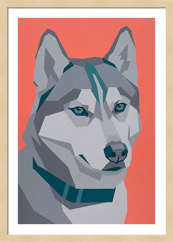 Majestic Siberian Husky Closeup