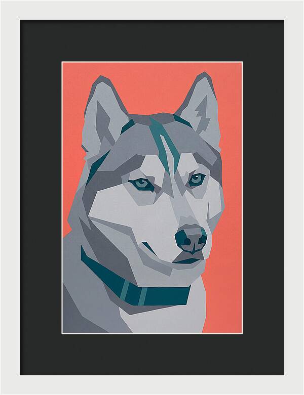 Majestic Siberian Husky Closeup