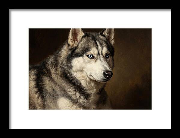 Majestic Siberian Husky