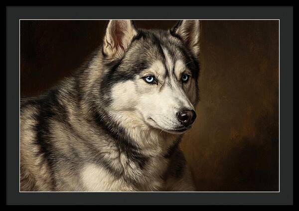 Majestic Siberian Husky