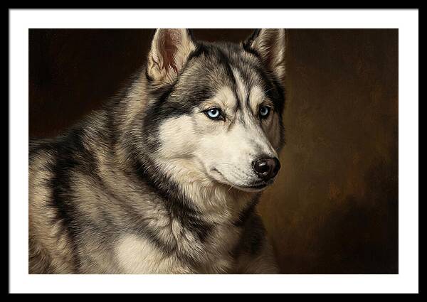 Majestic Siberian Husky
