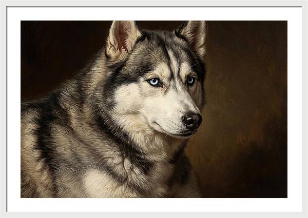 Majestic Siberian Husky