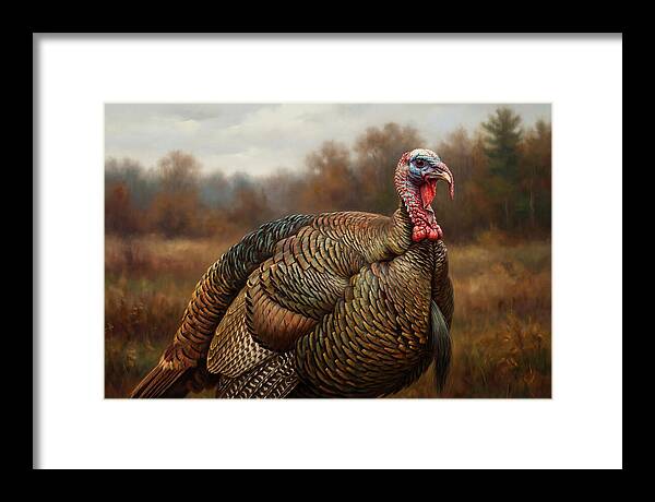 Majestic Turkey In Nature