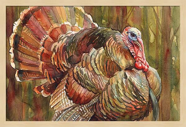 Majestic Turkey In Watercolor