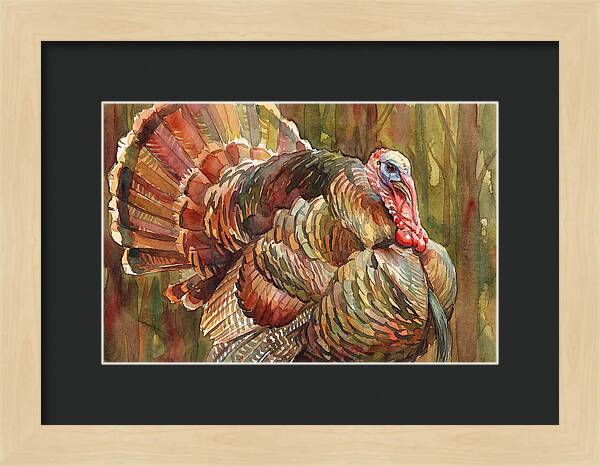 Majestic Turkey In Watercolor