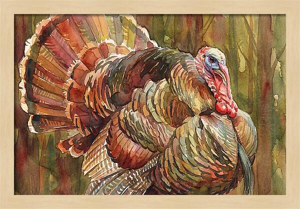 Majestic Turkey In Watercolor