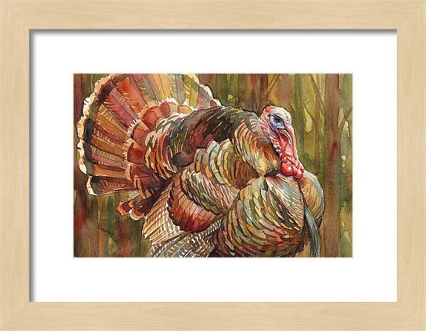 Majestic Turkey In Watercolor