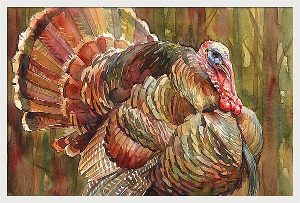 Majestic Turkey In Watercolor
