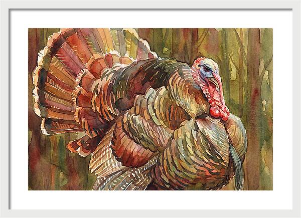 Majestic Turkey In Watercolor