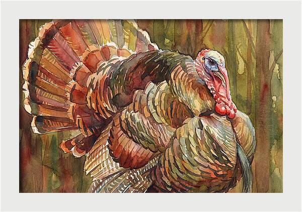 Majestic Turkey In Watercolor