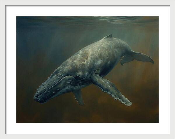 Majestic Underwater Giant