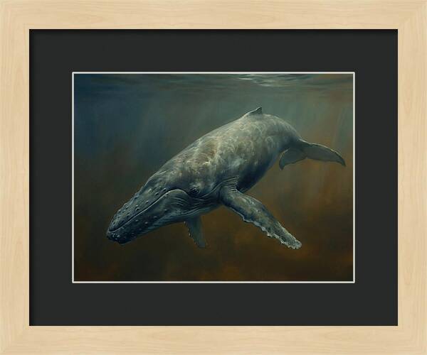 Majestic Underwater Giant