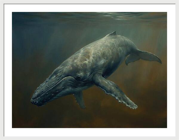 Majestic Underwater Giant