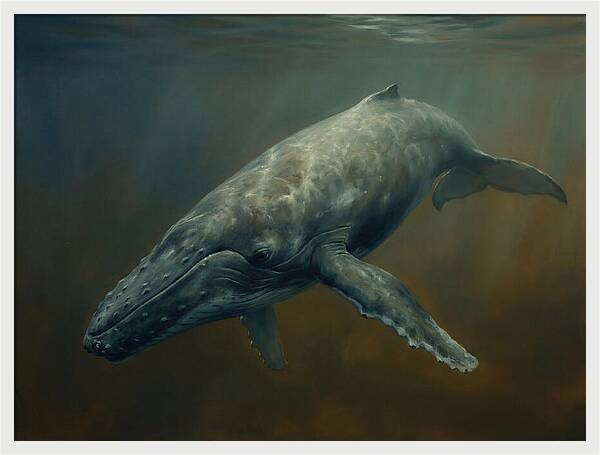 Majestic Underwater Giant