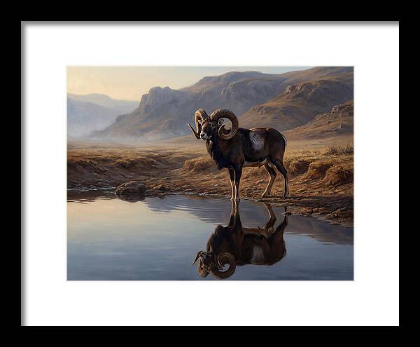 Majestic Urial By The Water