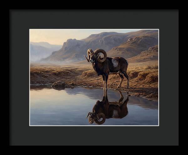 Majestic Urial By The Water