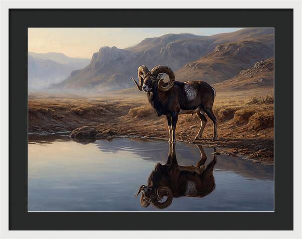 Majestic Urial By The Water