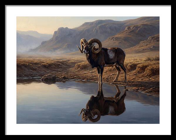 Majestic Urial By The Water