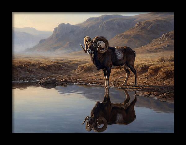 Majestic Urial By The Water