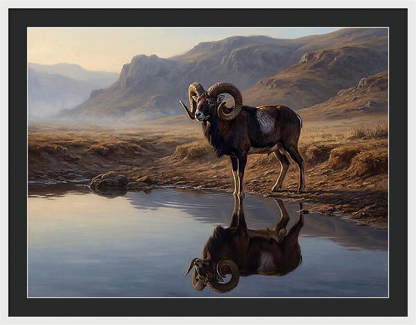 Majestic Urial By The Water