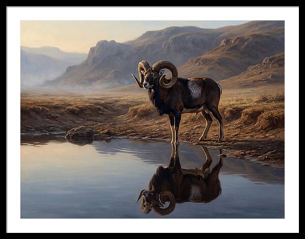 Majestic Urial By The Water