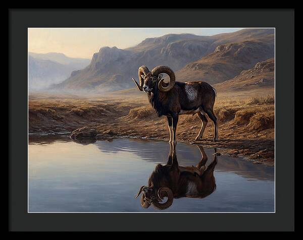 Majestic Urial By The Water
