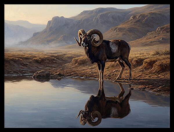 Majestic Urial By The Water