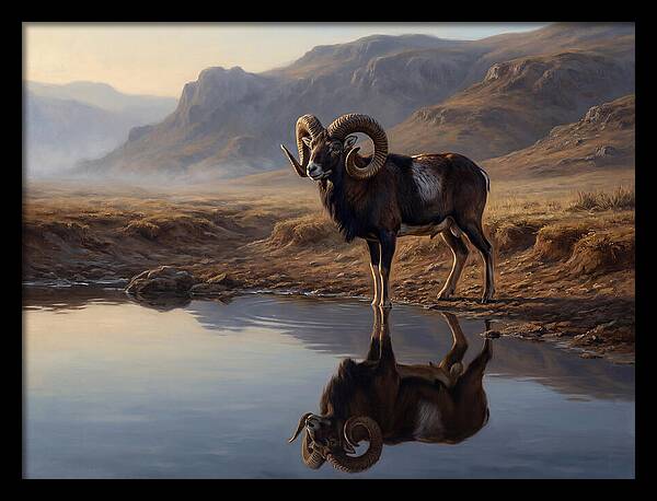 Majestic Urial By The Water