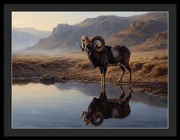 Majestic Urial By The Water