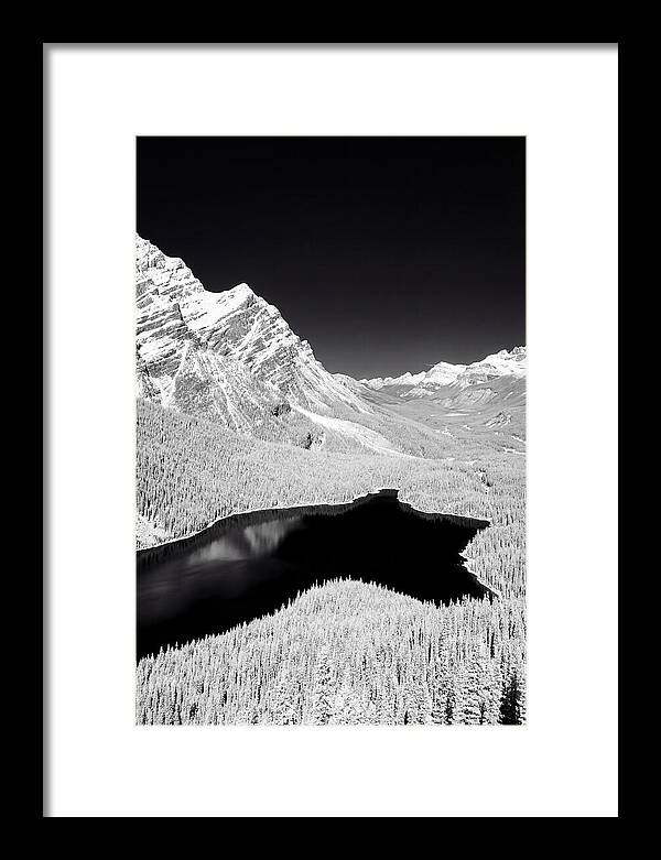 Majestic View Of Peyto Lake