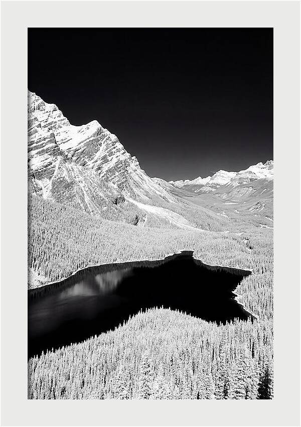 Majestic View Of Peyto Lake