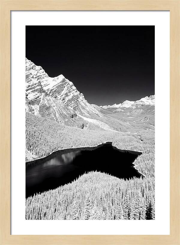 Majestic View Of Peyto Lake